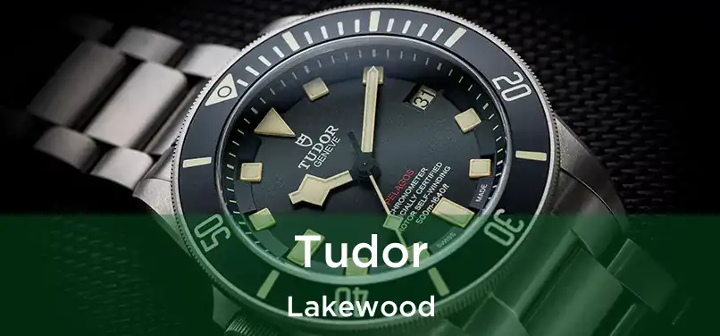 Tudor Lakewood